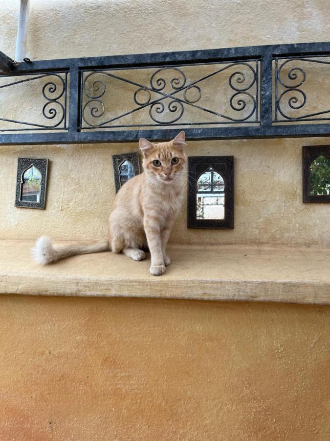 Riad Al Ibtikar Μαρακές Εξωτερικό φωτογραφία